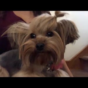 Meet your Posher, Joshua